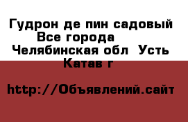 Гудрон де пин садовый - Все города  »    . Челябинская обл.,Усть-Катав г.